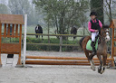 Ecurie / Poney Club des 2 Saules Coulombs