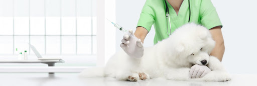 Clínica Veterinaria Mistercan en Torredonjimeno