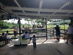 Ponylandia - photo 5