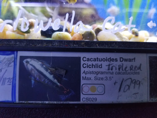 Pet Store «Moby Dick Pet Store Inc», reviews and photos, 3700 Sashabaw Rd, Waterford Twp, MI 48329, USA