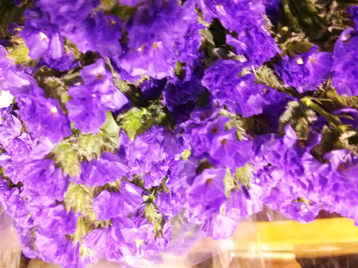 Grocery Store «ACME Markets», reviews and photos, 801 Kenilworth Blvd, Kenilworth, NJ 07033, USA