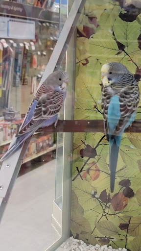 Pet Supply Store «PetSmart», reviews and photos, 13000 Aurora Ave N, Seattle, WA 98133, USA