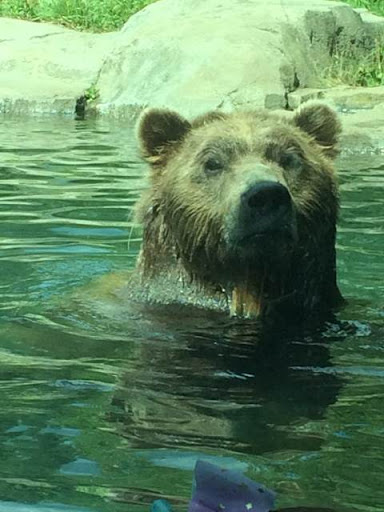 Boat Tour Agency «Padelford Packet Boat Co», reviews and photos, 205 Dr Justus Ohage Blvd, St Paul, MN 55107, USA