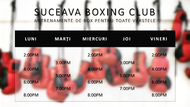 Suceava Boxing Club - <nil>