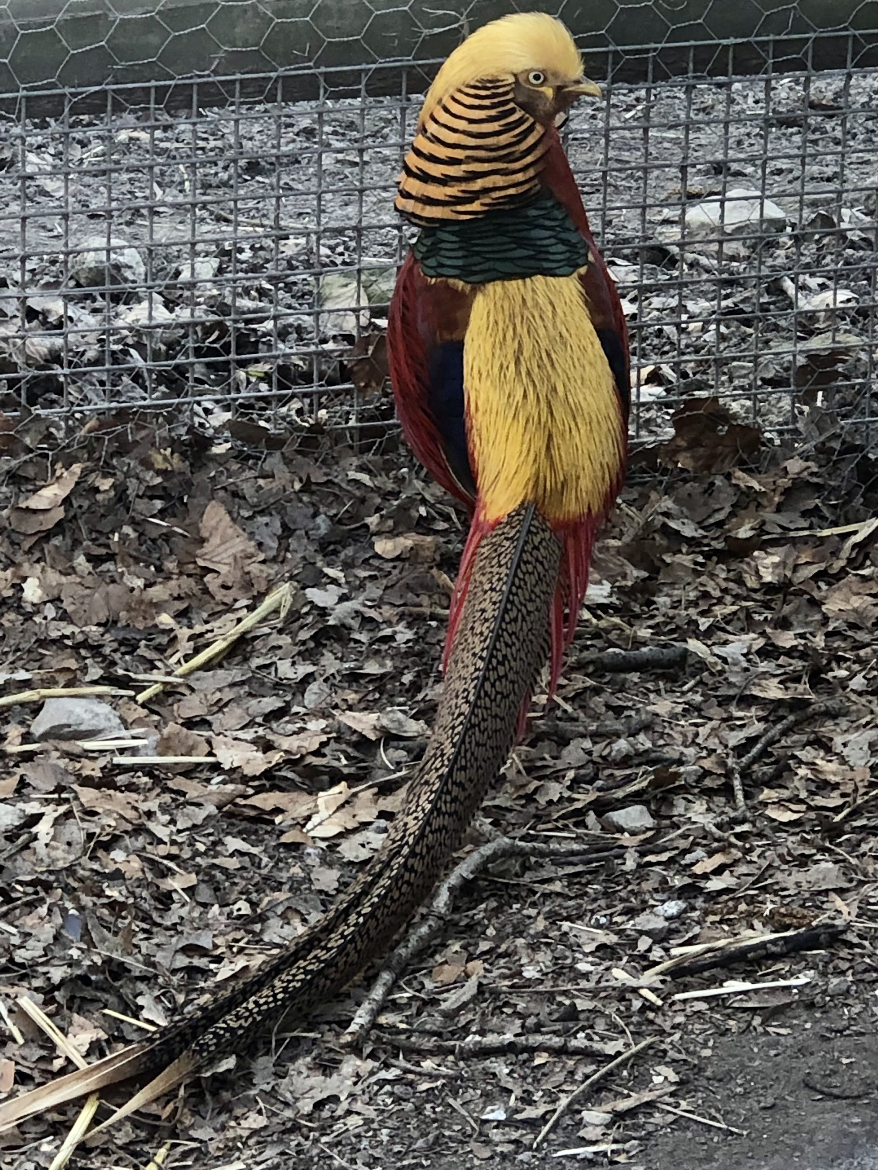 Photo n° 5 de l'avis de Ophelie.r fait le 19/04/2022 à 10:25