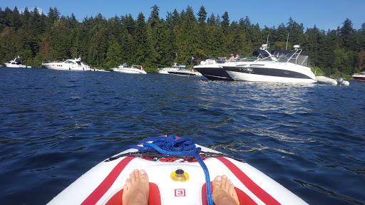 Park «Seward Park», reviews and photos, 5900 Lake Washington Blvd S, Seattle, WA 98118, USA