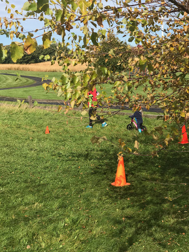 Bicycle Store «Seven Spokes Bike Shop», reviews and photos, 1044 Cleveland Ave S, St Paul, MN 55116, USA