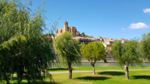 INSTITUT DENTAL LA NOGUERA en Balaguer, Lleida