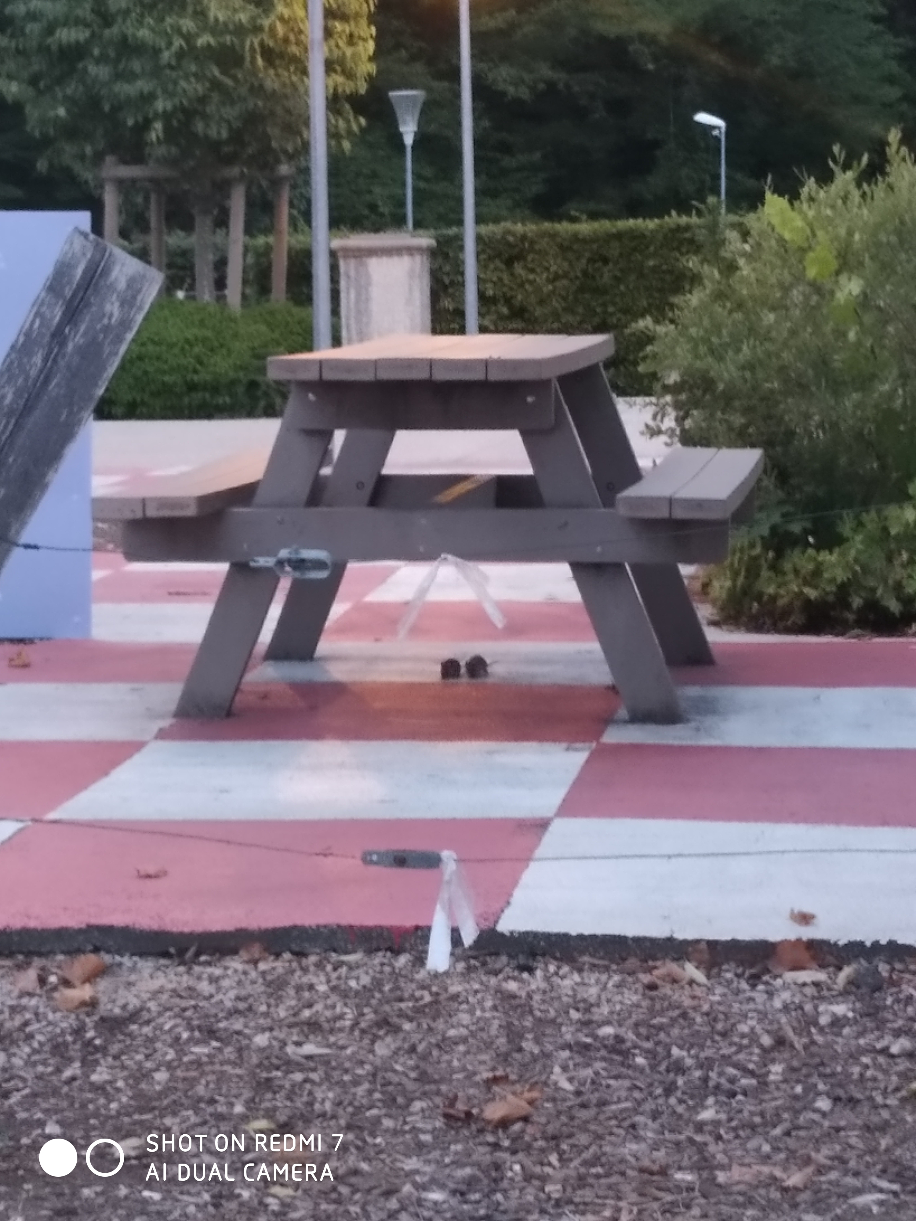 Photo n° 2 de l'avis de Cs.s fait le 16/07/2020 à 04:01