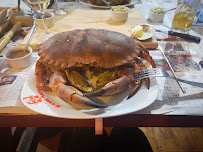 Metacarcinus magister du Restaurant de crabe Le Crabe Marteau à Brest - n°17