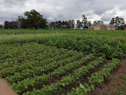 Campo Escuela Facultad de Ciencias Agropecuarias - UNC