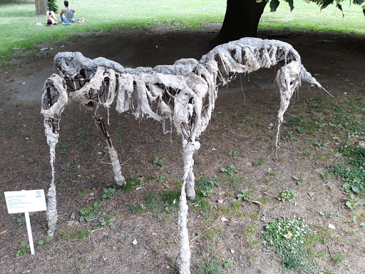 Jardin des Plantes