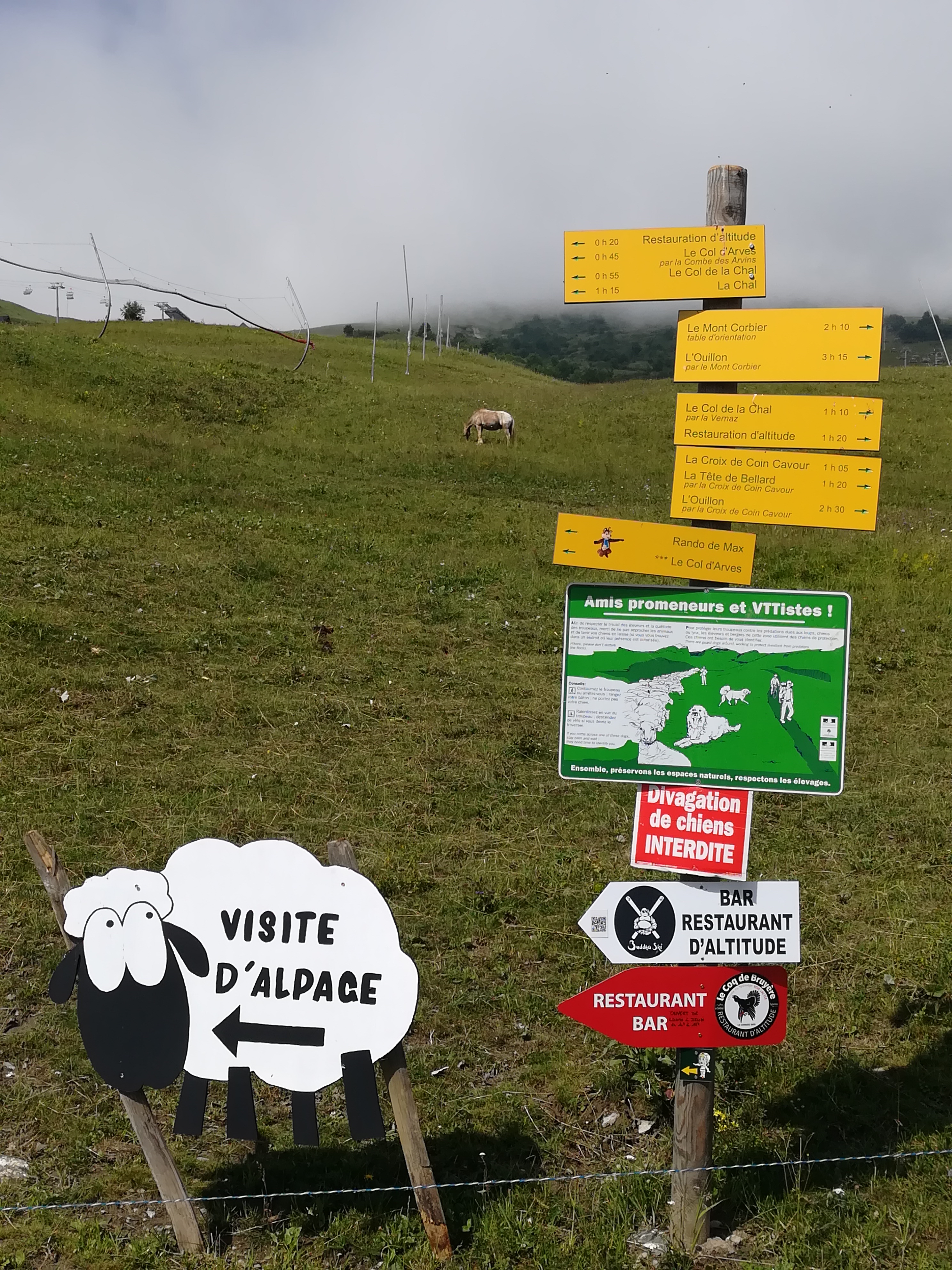 Photo n° 6 de l'avis de Faust.a fait le 28/07/2021 à 18:24