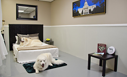 Wag Hotels - West Sacramento image