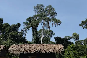 Tucan Lodge Cuyabeno image