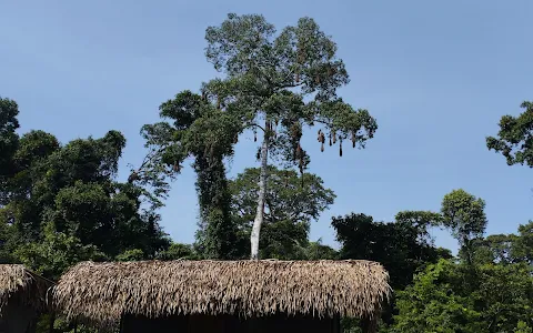 Tucan Lodge Cuyabeno image