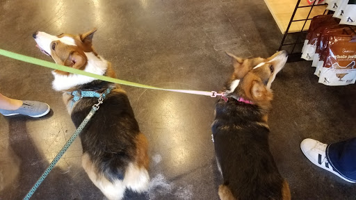 Pet Supply Store «Natural Pawz - Vintage Park», reviews and photos, 142 Vintage Park Blvd, Houston, TX 77070, USA