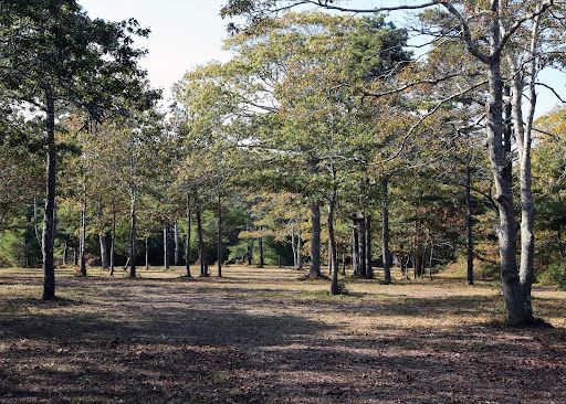 Disc Golf Course «Nantucket Disc Golf Course», reviews and photos, 21 Lovers Ln, Nantucket, MA 02554, USA