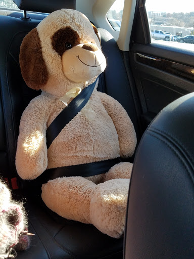 Discount Store «Big Lots», reviews and photos, 1000 N Pine St, Spartanburg, SC 29303, USA