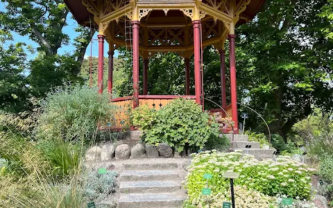 Botaniska Trädgården image