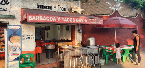 Barbacoa y tacos GAVIA