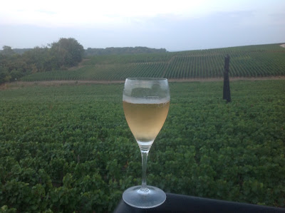 Champagne Jean-François LEGER à Sacy