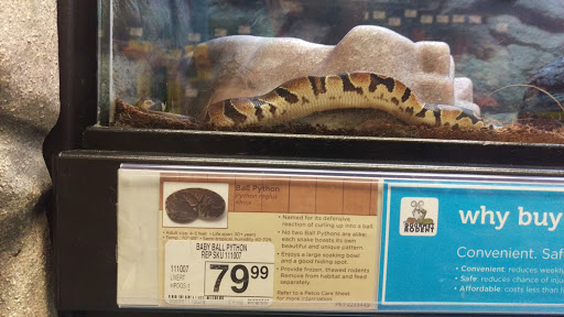 Pet Supply Store «Petco Animal Supplies», reviews and photos, 9137 Central Ave a, Montclair, CA 91763, USA