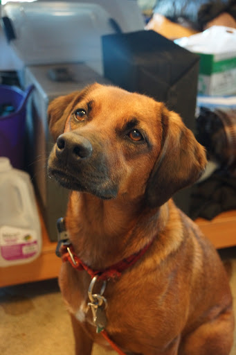 Clothing Store «Repair Lair», reviews and photos, 3304 E Lake St, Minneapolis, MN 55406, USA