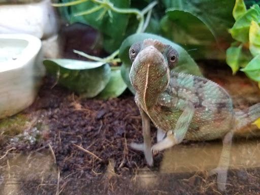 Pet Supply Store «Petco Animal Supplies», reviews and photos, 10464 Baltimore Ave, Beltsville, MD 20705, USA