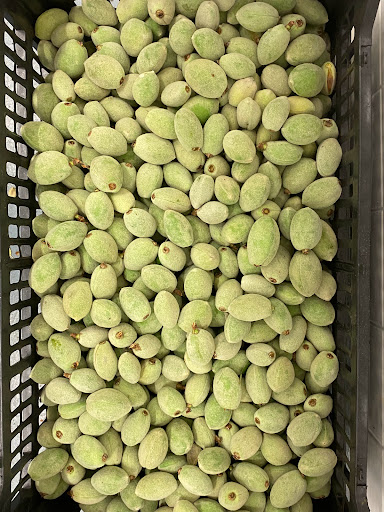 Kosher Grocery Store «Al-Taiba Market», reviews and photos, 1008 W Chapel Hill St, Durham, NC 27707, USA