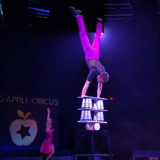 Performing Arts Theater «NYCB Theatre at Westbury», reviews and photos, 960 Brush Hollow Rd, Westbury, NY 11590, USA