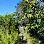 Photo n°44 de l'avis de Marco.a fait le 12/09/2019 à 20:50 sur le  Hotel Gallo Nero à Sant'Andrea