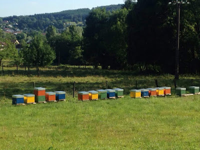 LES RUCHERS DE LA SOURCE à Vernois-lès-Belvoir
