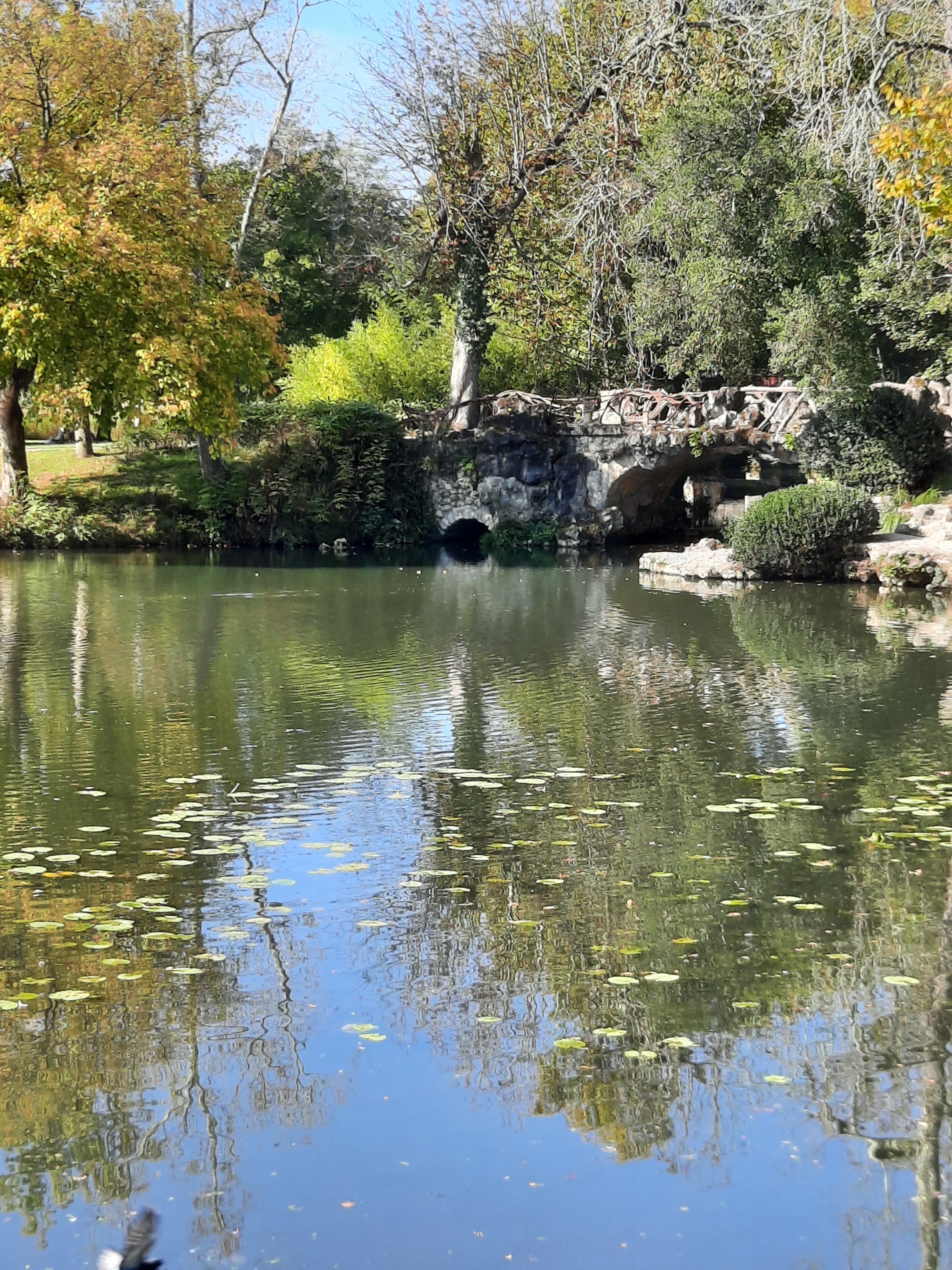 Photo n° 13 de l'avis de teixeira.a fait le 16/10/2021 à 21:10