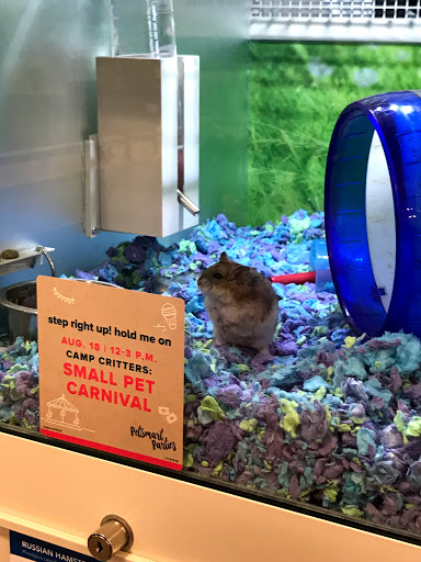 Pet Supply Store «PetSmart», reviews and photos, 5013 S Cleveland Ave, Fort Myers, FL 33907, USA