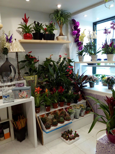 Floristería Embora