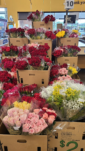 Grocery Store «Kroger», reviews and photos, 47650 Grand River Ave, Novi, MI 48374, USA