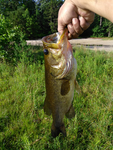 Park «Malaga Lake Park», reviews and photos, 445 Malaga Park Dr, Malaga, NJ 08328, USA