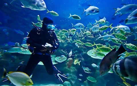 Key West Dive Center image