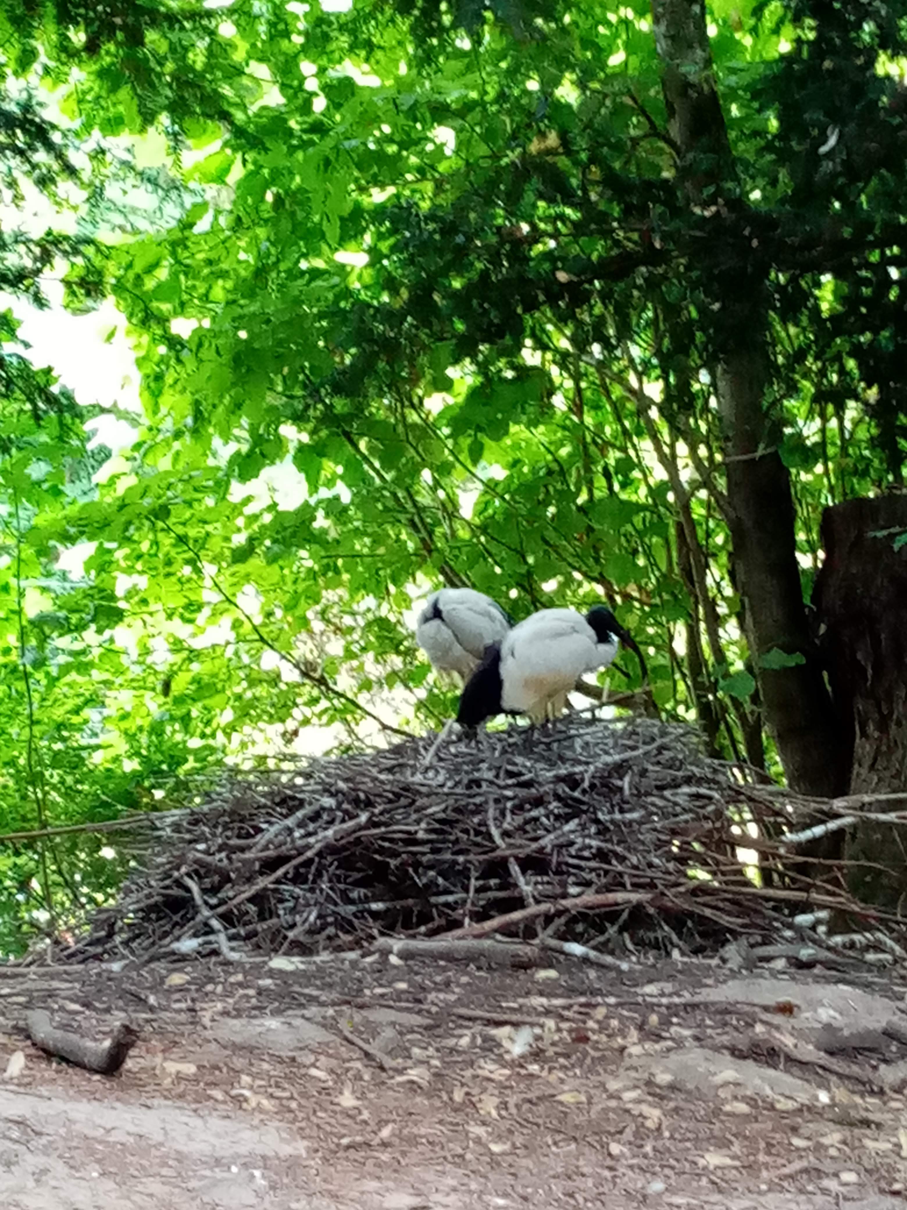 Photo n° 37 de l'avis de Marielaure.a fait le 25/07/2023 à 19:08