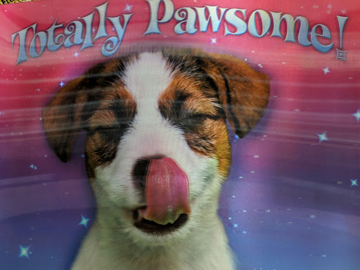 Book Store «Scholastic Book Fairs», reviews and photos, 41873 Ecorse Rd # 260, Belleville, MI 48111, USA