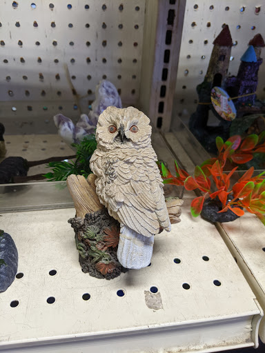 Tropical Fish Store «Sunset Pet & Supplies», reviews and photos, 1373 Sunset Blvd, Los Angeles, CA 90026, USA