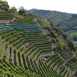 Photo n°1 de l'avis de Ans.e fait le 24/09/2020 à 17:03 sur le  Weinhaus Berg à Bremm