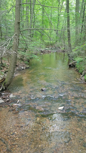 Nature Preserve «Strawberry Hill Nature Preserve», reviews and photos, 1537 Mt Hope Rd, Fairfield, PA 17320, USA