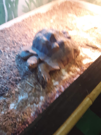 Pet Store «The Pet Zone», reviews and photos, 20 W Oak St, Pittston, PA 18640, USA