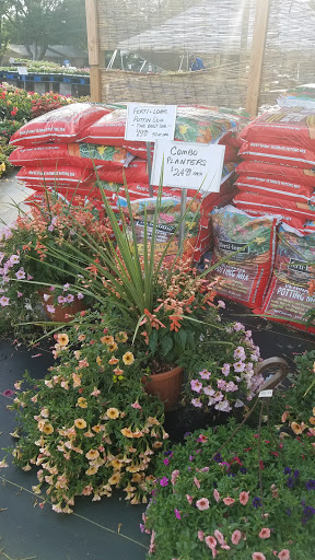 Health Food Store «Cox Farms Market - Duncanville», reviews and photos, 1026 S Main St, Duncanville, TX 75137, USA