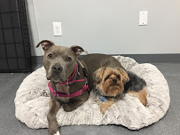 Dogcipline Inc. - Photo 7 - Car repair in Whitestone, NY, Queens