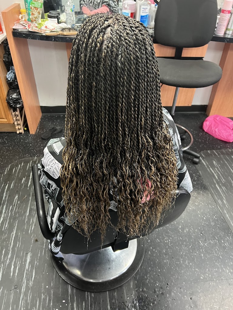 Braids By Shade 60409
