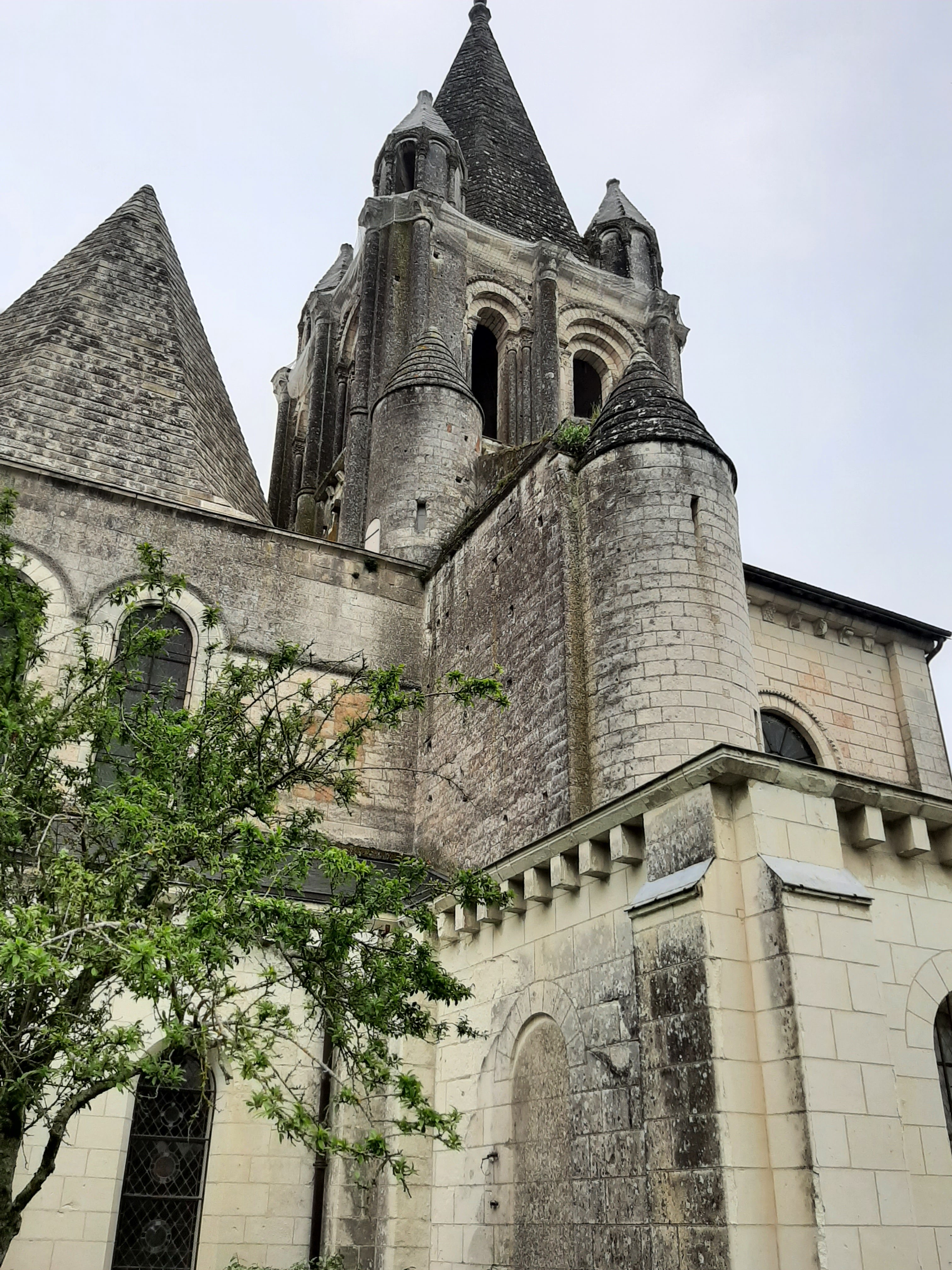 Photo n° 10 de l'avis de Olive.. fait le 26/04/2022 à 19:12