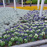 Photo n°27 de l'avis de Andreas.o fait le 16/10/2020 à 18:24 sur le  Europa-Park GmbH & Co - Hotelbetriebe KG à Rust